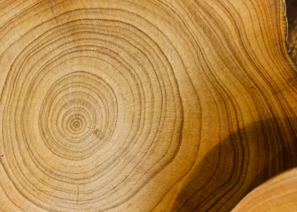 Kolory okien drewnianych retro