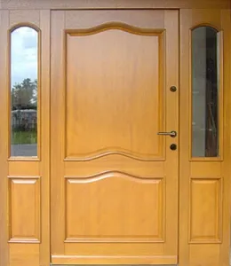 Drzwi zewnętrzne, wzór: DZ011