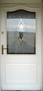 Drzwi zewnętrzne, wzór: DZ040