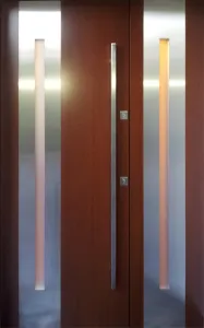 Drzwi zewnętrzne, wzór: DZ098