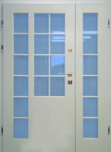 Drzwi zewnętrzne, wzór: DZ100