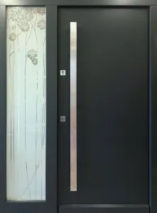 Drzwi zewnętrzne, wzór: DZ168