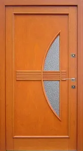 Drzwi zewnętrzne, wzór: DZ172