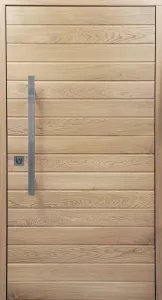 Drzwi zewnętrzne, wzór: DZ2015