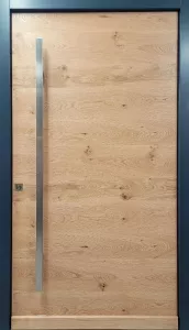 Drzwi zewnętrzne, wzór: DZ2024_0