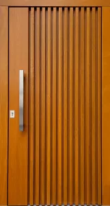 Außentüren Galerie: DZ2036